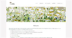 Desktop Screenshot of caldsl.com
